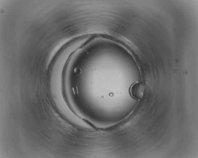 X0000076430926200610202241