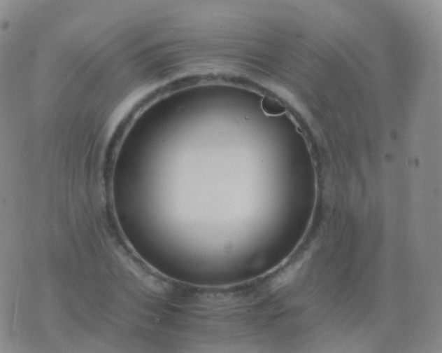 X0000076430927200610202241