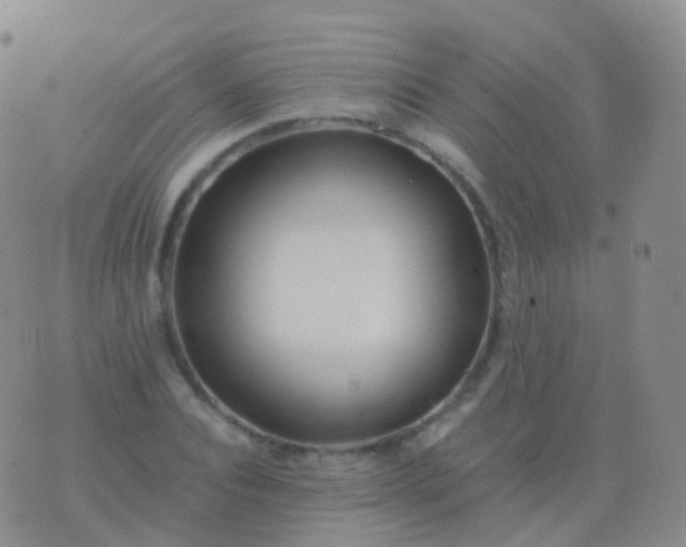 X0000076430928200610202241