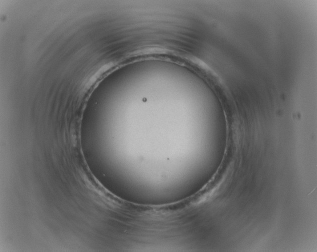 X0000076430929200610202241