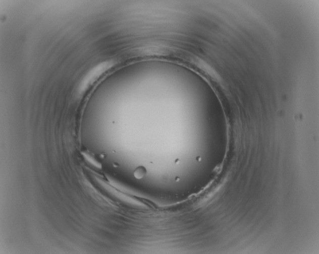 X0000076430930200610202241