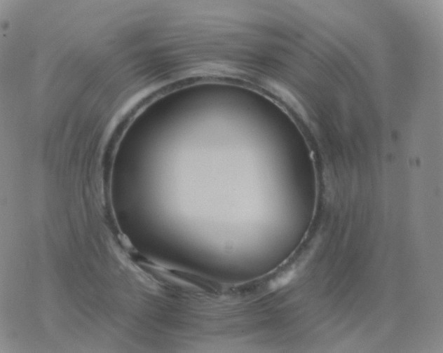 X0000076430931200610202241