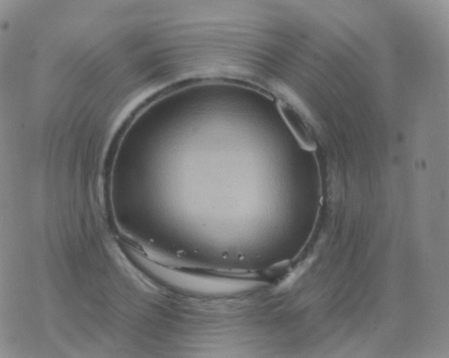 X0000076430932200610202241