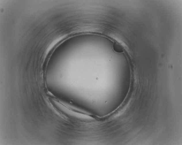 X0000076430933200610202241