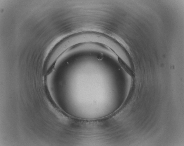 X0000076430934200610202241