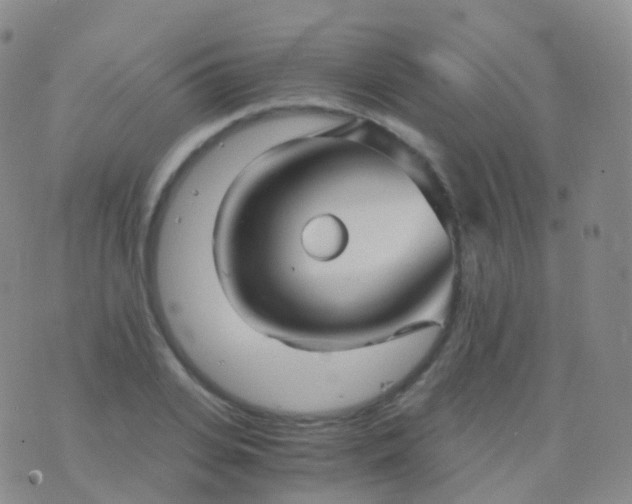 X0000076430935200610202241