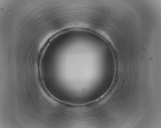 X0000076430936200610202241