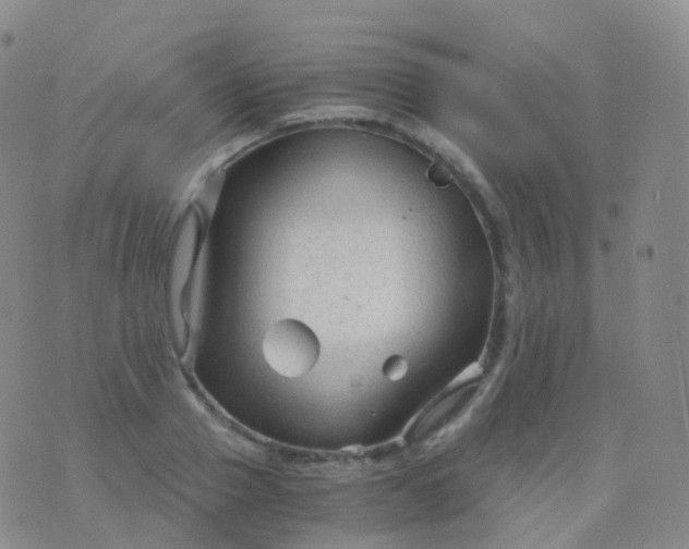 X0000076430937200610202241