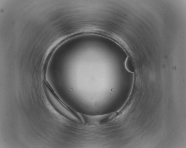 X0000076430939200610202241