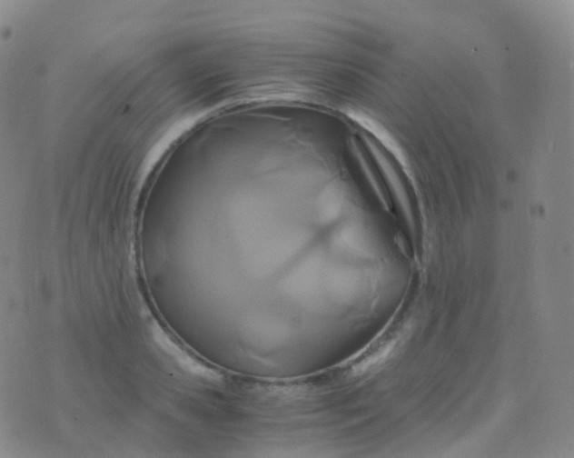 X0000076430941200610202241