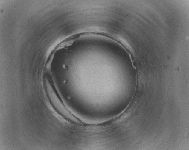 X0000076430944200610202241