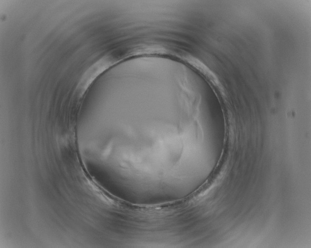 X0000076430945200610202241