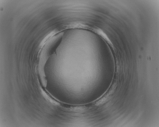 X0000076430946200610202241