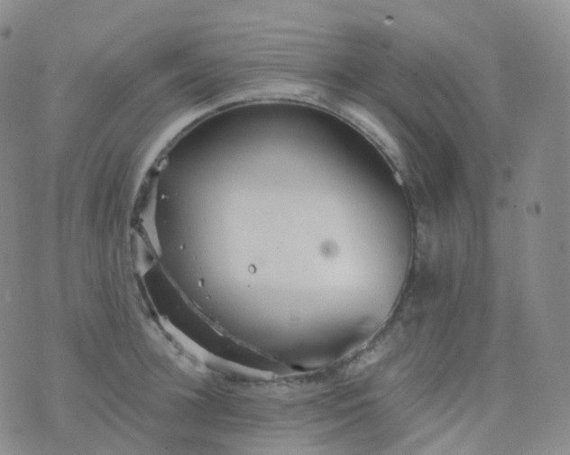 X0000076430948200610202241