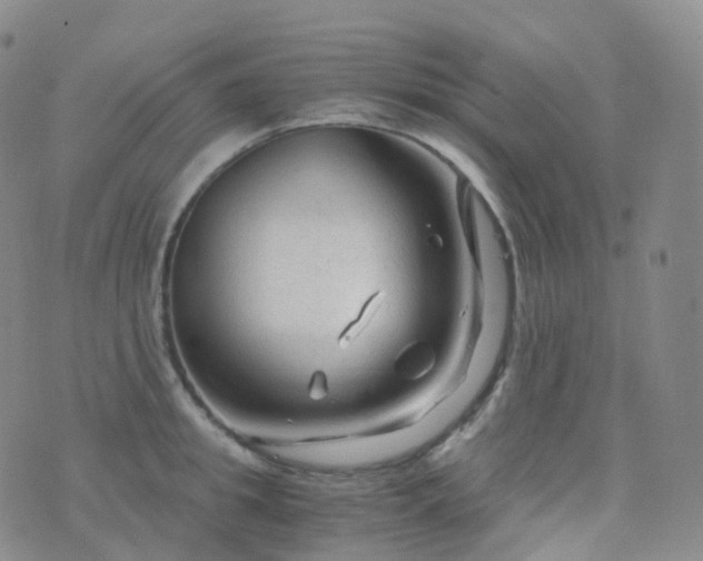 X0000076430949200610202241