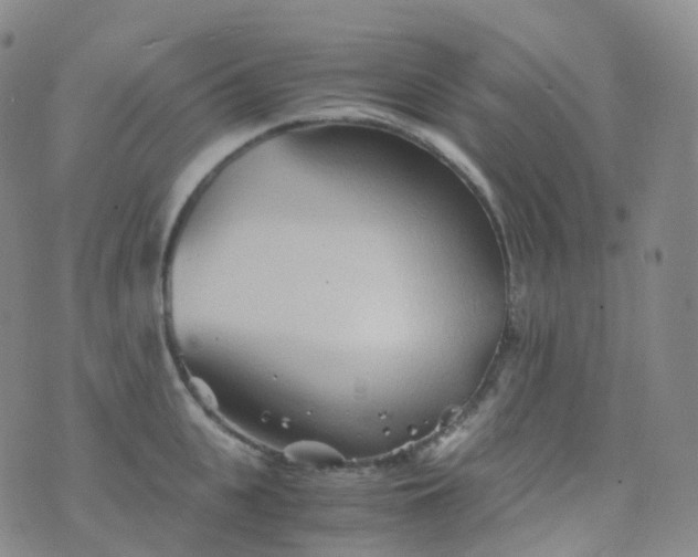 X0000076430951200610202241