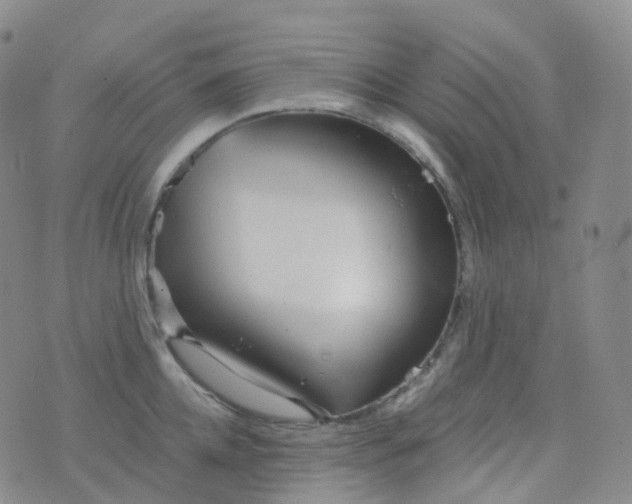 X0000076430952200610202241