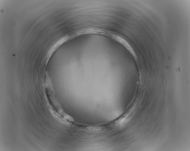 X0000076430954200610202242