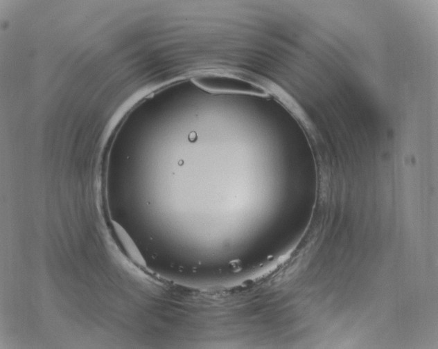 X0000076430955200610202242