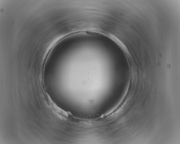 X0000076430956200610202242