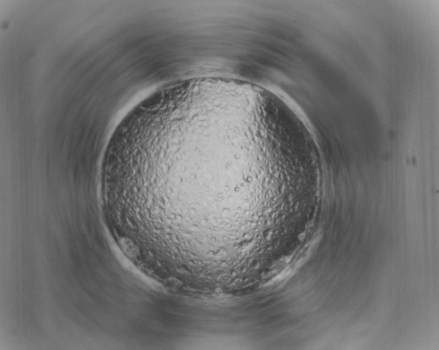 X0000076430957200610202242