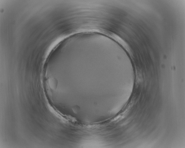 X0000076430958200610202242