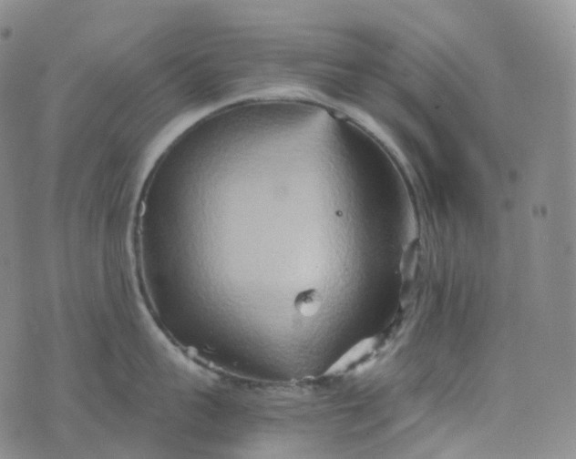 X0000076430959200610202242