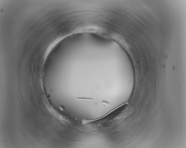 X0000076430960200610202242