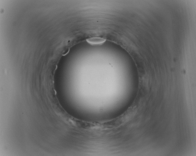 X0000076430961200610202241