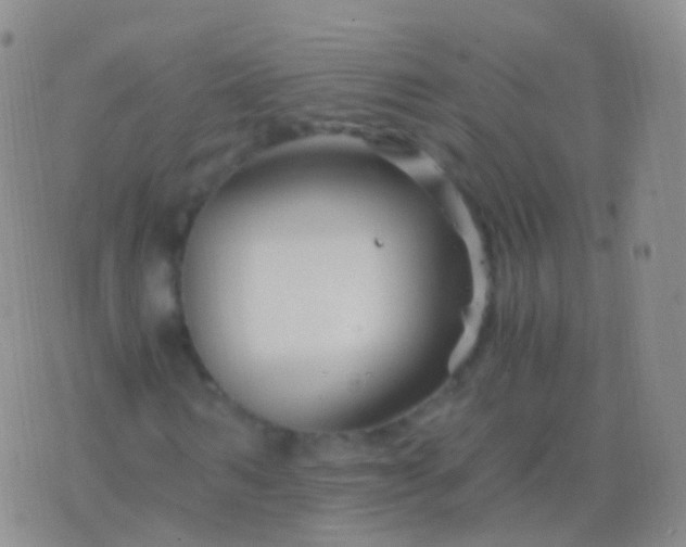 X0000076430962200610202241