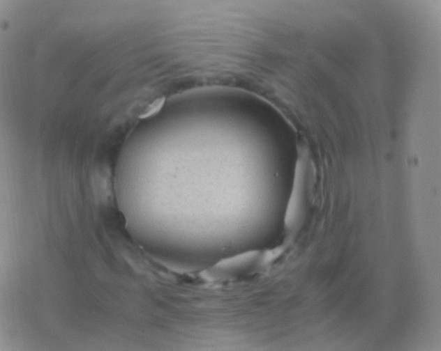 X0000076430963200610202241