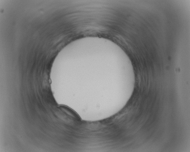 X0000076430964200610202241