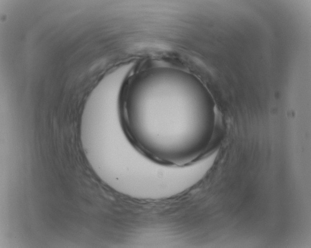 X0000076430965200610202241