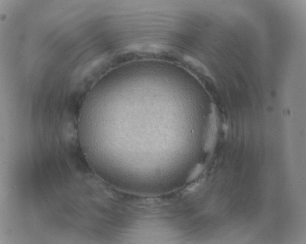 X0000076430966200610202241