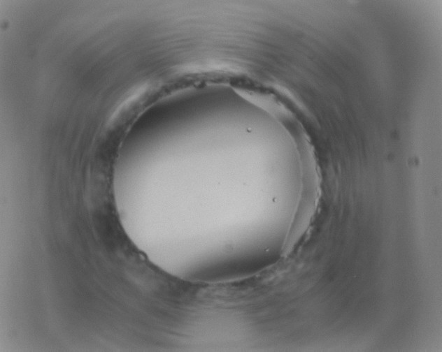 X0000076430967200610202241