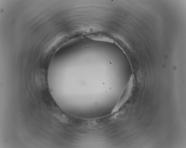 X0000076430968200610202241