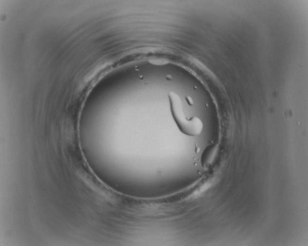 X0000076430969200610202241