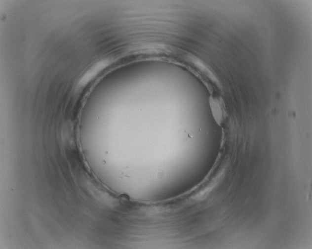 X0000076430970200610202241