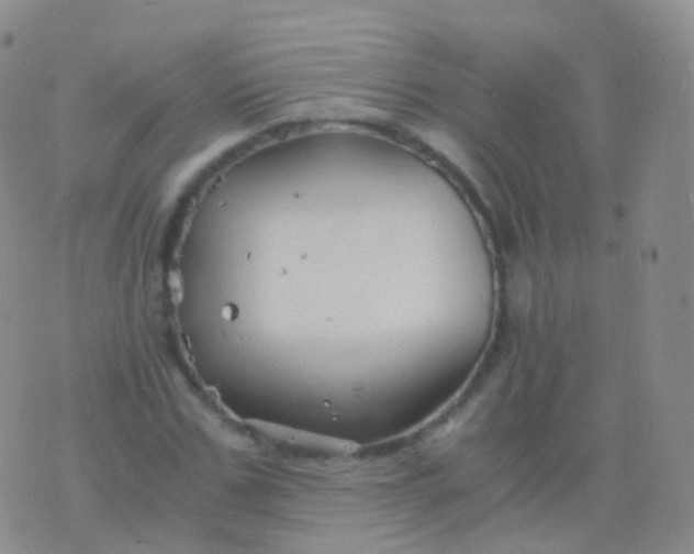 X0000076430971200610202241