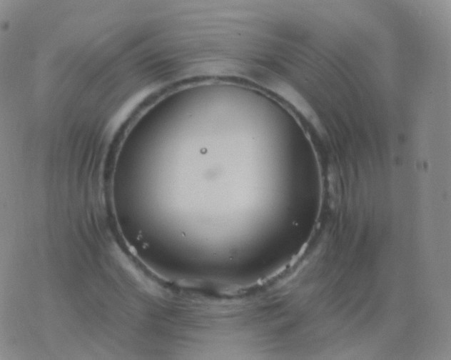 X0000076430972200610202241