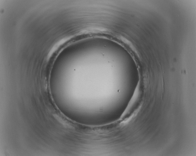 X0000076430973200610202241