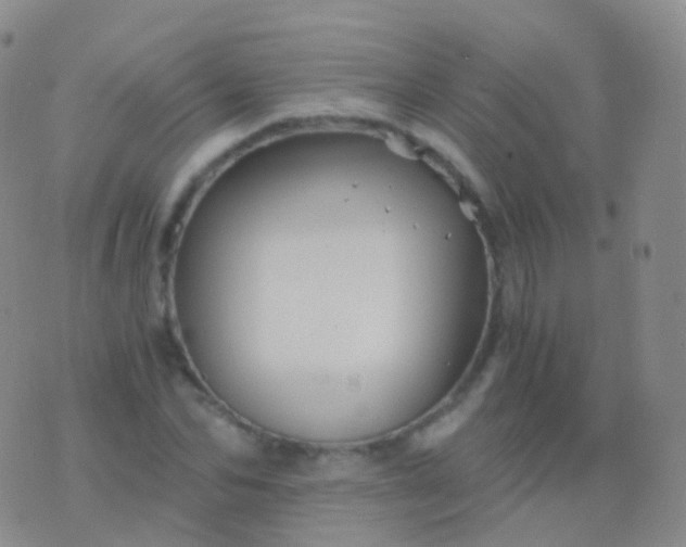 X0000076430974200610202241