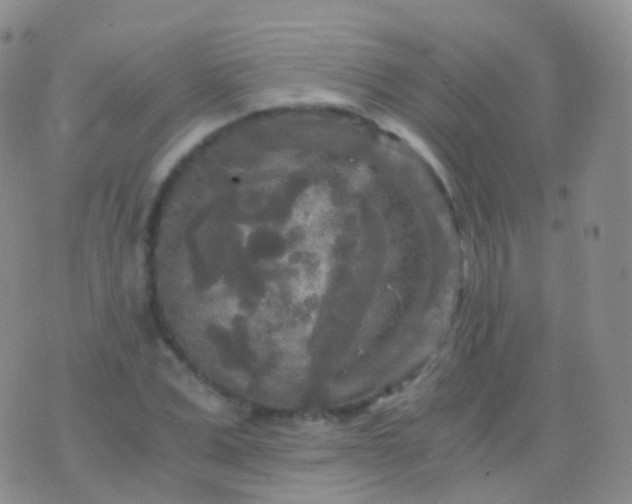 X0000076430975200610202241