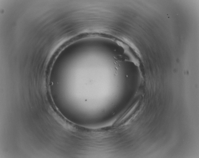 X0000076430976200610202241