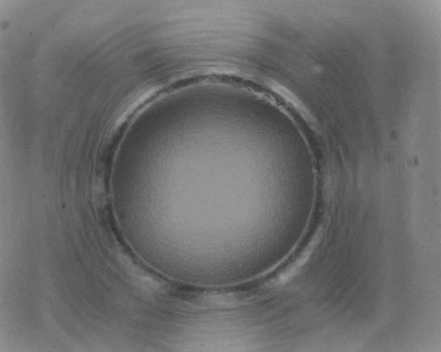 X0000076430977200610202241