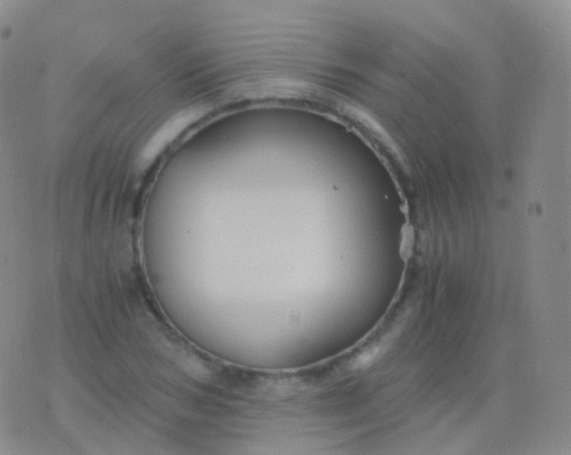 X0000076430978200610202241