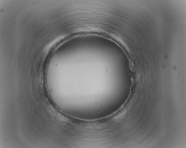 X0000076430979200610202241