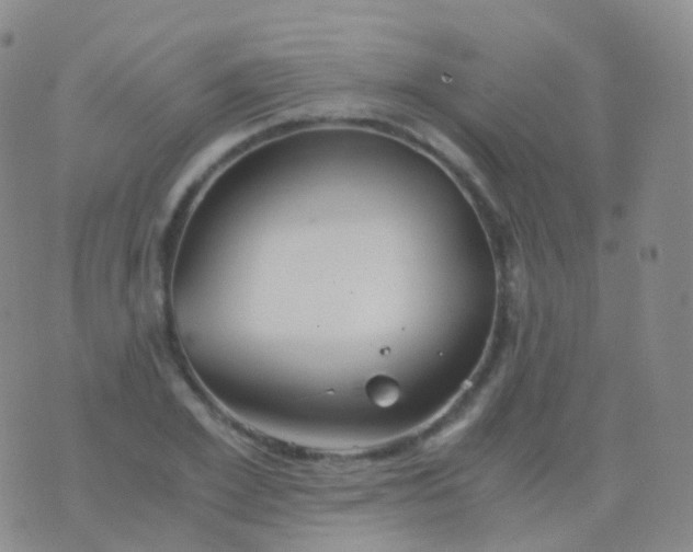 X0000076430981200610202241