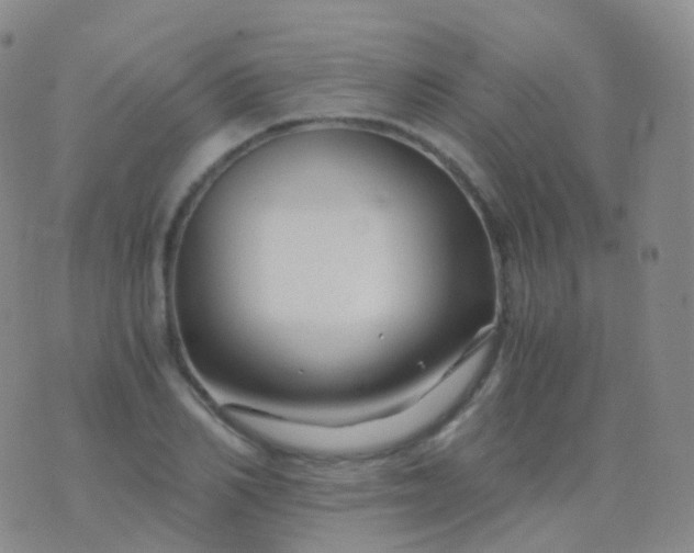 X0000076430982200610202240