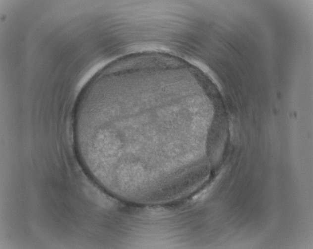 X0000076430983200610202240